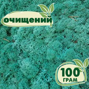 Очищений стабілізований мох ягель Смарагдовий 100 грам