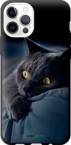 Чохол на iPhone 12 Pro Димчастий кіт "825b-2052-2448"