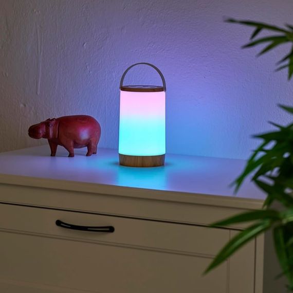 Настільний світильник з акумулятором TE-060RGB+3000K+IC, USB | Зображення 3