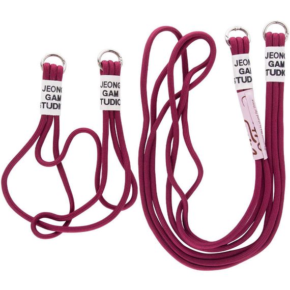 Чехол TPU two straps California для Apple iPhone 11 (6.1") Силікон, Червоний/Rose Red | Зображення 4