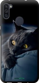 Чохол на Samsung Galaxy A11 A115F Димчастий кіт "825b-2012-2448"