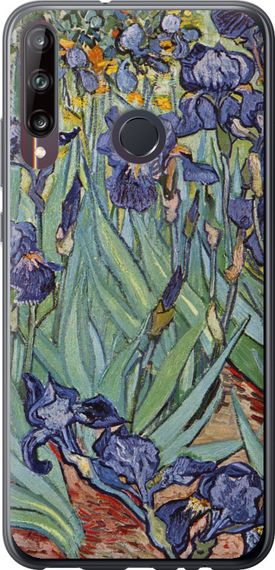 Чехол на Huawei P40 Lite E Винсент Ван Гог. Ирисы "161u-1875-17620"