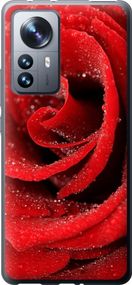 Чехол на Xiaomi 12 Pro Красная роза "529u-2560-17620"