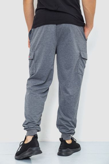 Спорт чоловічі штани, колір сірий, 244R41206 | Зображення 3