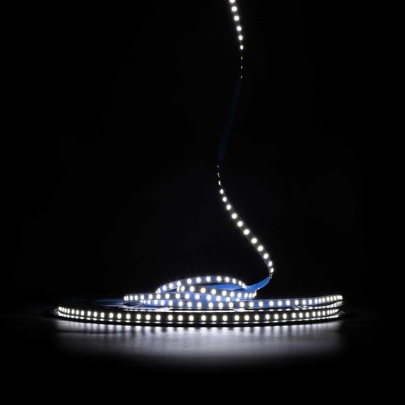 Світлодіодна LED стрічка PROLUM 24V IP20 2835\120 6ММ 50M S-TYPE Series S Холодний-білий (9000-10000 | Зображення 1