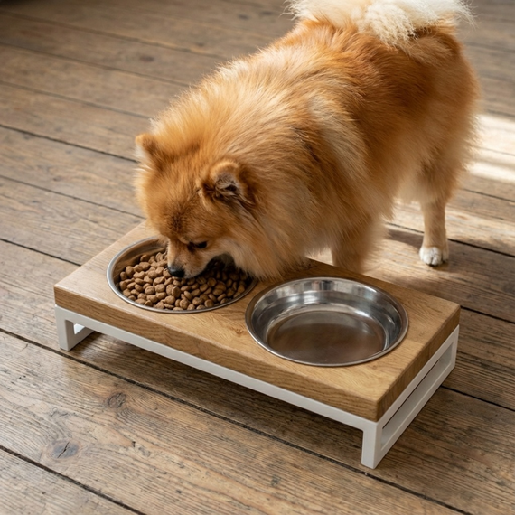 Миски на подставке для маленьких собак и котов Hollky Base XS (2 × 0,25 л) BXS-28145-WHNT | Зображення 1