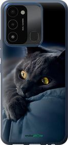 Чохол на Tecno Spark 8C KG5k Димчастий кіт "825u-2680-2448"