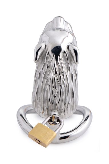 Клітка для пеніса Master Series: Tiger King Cock Cage With Lock, три кільця, замок, три ключі | Зображення 3