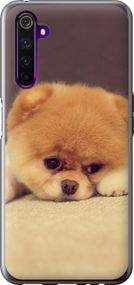 Чехол на Realme 6 Pro Boo 2 "890u-1893-17620"