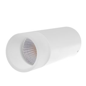 Светильник тубус накладной LED AL-200/5W WW WH IP20