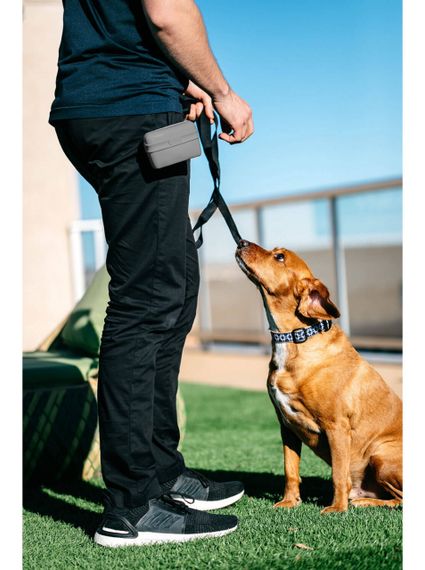 Контейнер для ласощів на пояс Dexas Pooch Pouch, сірий | Зображення 3