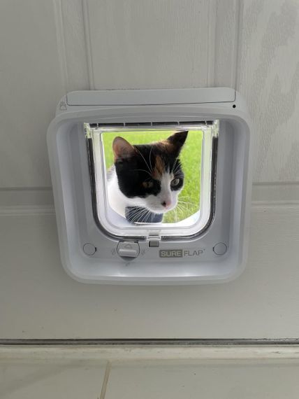 SureFlap смарт микрочипная умная дверца для кошек с WiFi RFID-метки мобильное управление уличные межкомнатные | Зображення 8