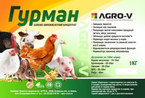 Подсолнечный концентрат "Гурман" - ТМ АГРО-В - оригинал 10