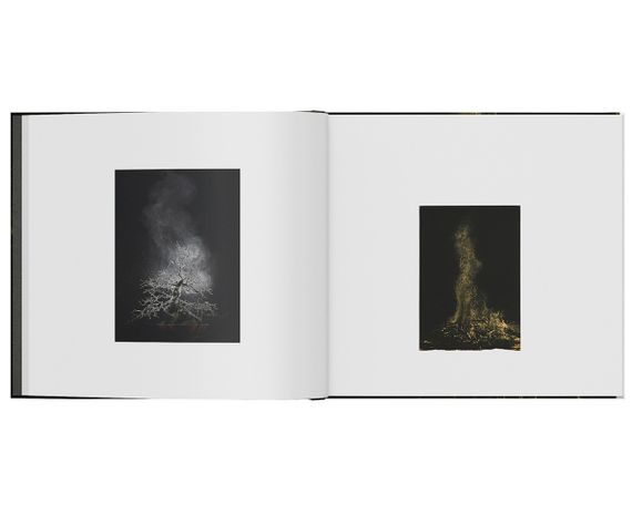 Подарункові книги для фотографів Масао Ямамото Masao Yamamoto: Kurayami фотомистецтво книга з ілюстраціями | Зображення 6