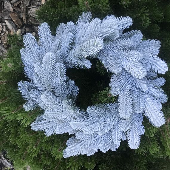 Венок новогодний рождественский Lux из литой хвои d-50 см заснеженный | Зображення 1