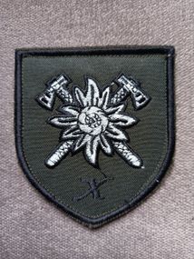 Шеврон 10 отдельная горно-штурмовая бригада. (полевой)