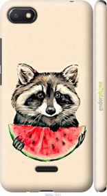Чохол на Xiaomi Redmi 6A Єнотик з кавуном "4605m-1531-2448"