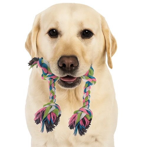 Набор игрушек для собак 16 в 1 Purlov 25384 | Зображення 9