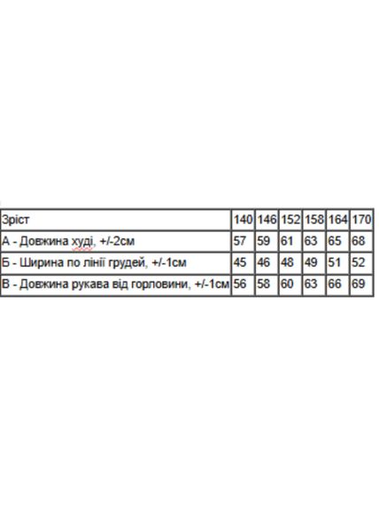 Худі для дівчинки (підлітковий) Носи своє 146 Чорний (p-15122-208579) | Зображення 5