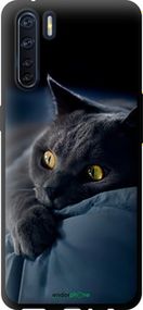 Чохол на Oppo A91 Димчастий кіт "825b-1884-2448"