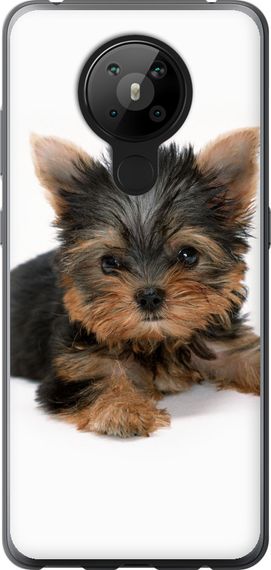 Чехол на Nokia 5.3 Щенок йоркширского терьера "931u-2102-17620"