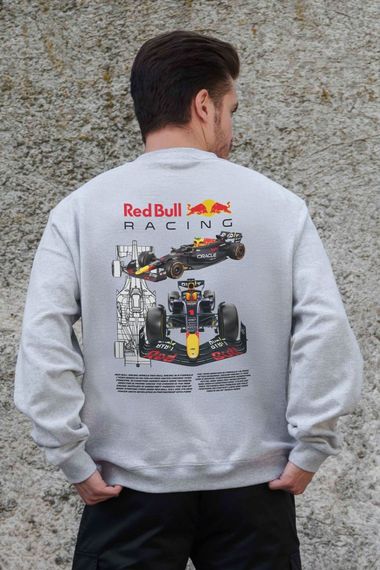 Утеплений оверсайз світшот на флісі з принтом Without Redbull Gray