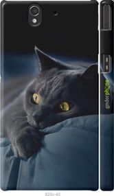 Чохол на Sony Xperia Z C6602 Димчастий кіт "825m-40-2448"