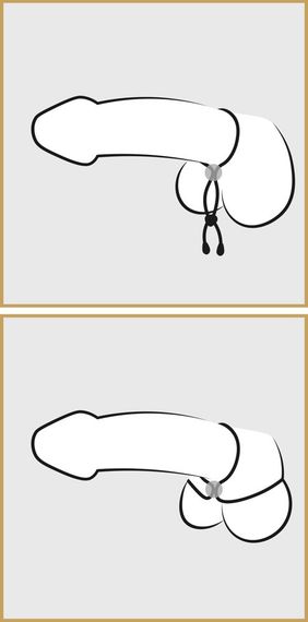 Ерекційна петля - Bad Kitty Cock & Ball Loop sexstyle | Зображення 5