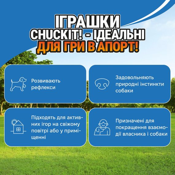 Іграшка для апортування собак Chuckit! Air Fetch Stick Dog Toy, 37 см | Зображення 4