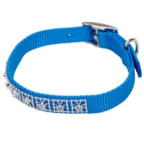 Ошейник со стразами для собак Coastal Jeweled, 25 см, голубой