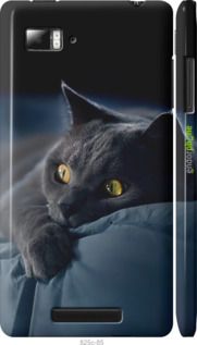 Чохол на Lenovo Vibe Z K910 Димчастий кіт "825m-85-2448"