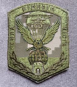 Шеврон 13 батальйон спецназу