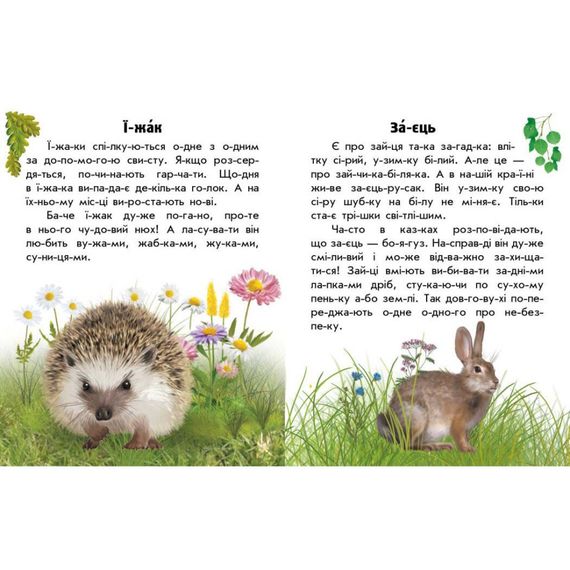 Читаю про Украину по слогам "Животные лесов" 366023 с цветными иллюстрациями | Зображення 1