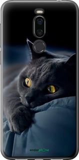 Чохол на Meizu X8 Димчастий кіт "825u-1601-2448"