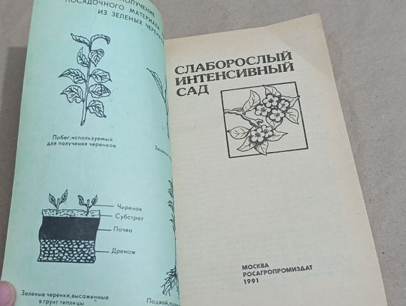 Слаборослый интенсивный сад В. А. Потапов A. С. Ульянищев Ю. В. Крысанов 1991 | Зображення 4