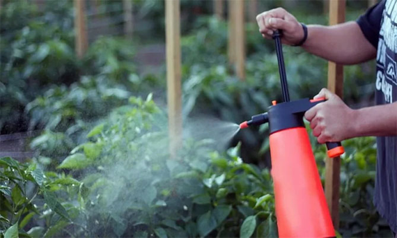 Біоінсектицид Корбіон універсальний10 мл | Зображення 1