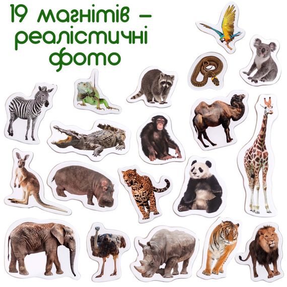Набор магнитов "Зоо" 19шт ML4031-02 EN | Зображення 1
