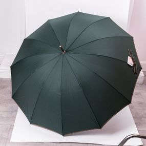 Класична парасолька-тростина з чохлом напівавтомат з поліестеру міцна надійна 12 спиць діаметр 120 см Зелений HP-23-16GR