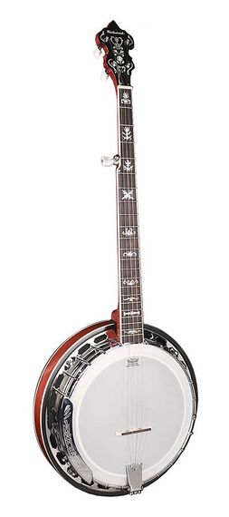 Банджо блюграс Richwood RMB-905-A