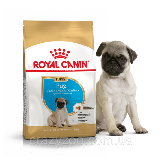 Сухой полнорационный корм Royal Canin Pug Junior для щенков Мопсa в возрасте от 2 до 10 месяцев 1,5 кг