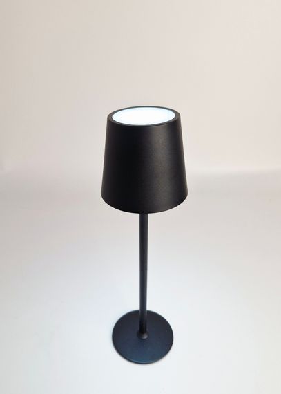 Настольная лампа TE-063 2W BK CCT LED | Зображення 1
