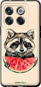 Чохол на OnePlus 10T Єнотик з кавуном "4605b-2647-2448"