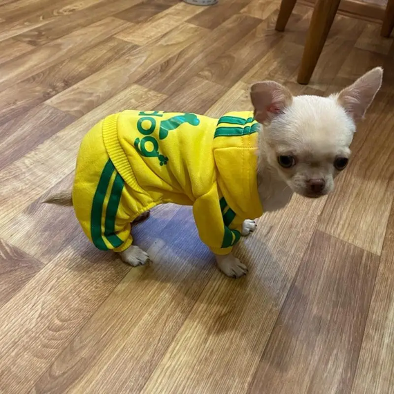 Костюм спортивний для собак Adidog  жовтий XL | Зображення 2