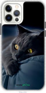 Чохол на iPhone 12 Димчастий кіт "825pc-2053-2448"