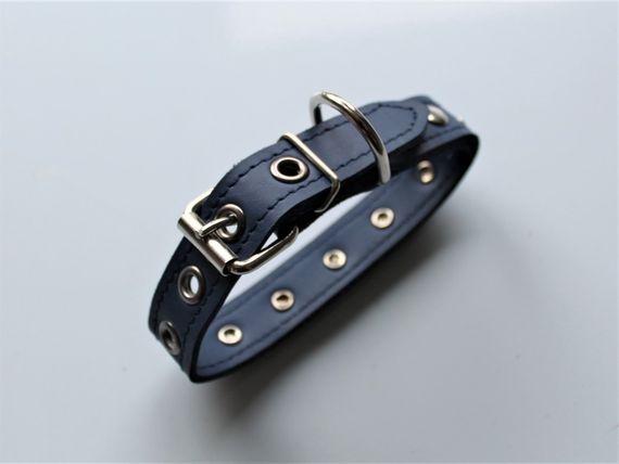 Кожаный ошейник со стразами "Lockdog" синий | Зображення 1