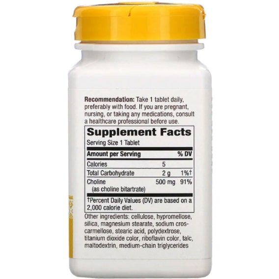 Комплекс для профилактики работы головного мозга Nature's Way Choline 500 mg 100 Veg Tabs NWY-40460 | Зображення 1