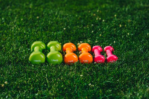 Набір гантелей в кейсі 6 кг. PowerPlay 4103 Fitness Dumbells (2шт.*0,5кг. 2шт.*1кг. 2шт.*1,5кг.) | Зображення 6