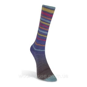 Шкарпеткова пряжа Laines du Nord Infinity Sock, 10