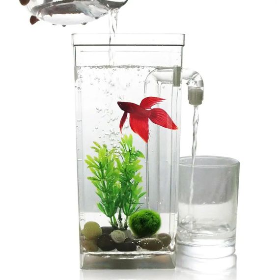 Акваріум самоочисний 2л, з LED підсвічуванням, My Fun Fish / Маленький акваріум для рибок з удароміцного пластику | Зображення 2