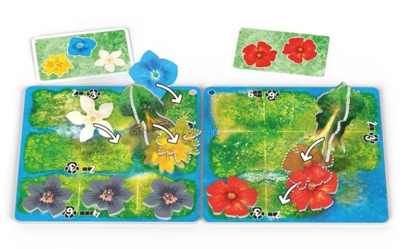 Настільна гра HUTAN: Життя в тропіках (HUTAN: Life in the Rainforest) | Зображення 2